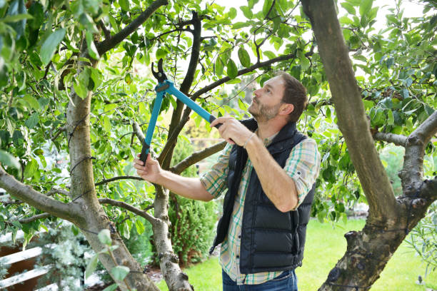 Best Lawn Watering Services  in Linden, NJ